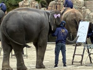 2025年社員旅行　市原ぞうの国1