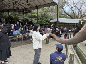2025年社員旅行　市原ぞうの国3