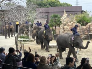 2025年社員旅行　市原ぞうの国4